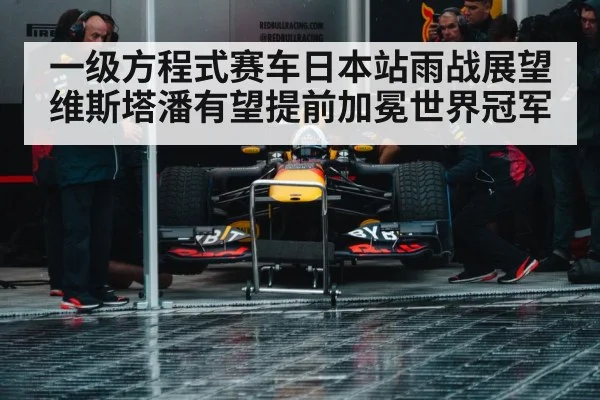 Max Verstappen Red Bull