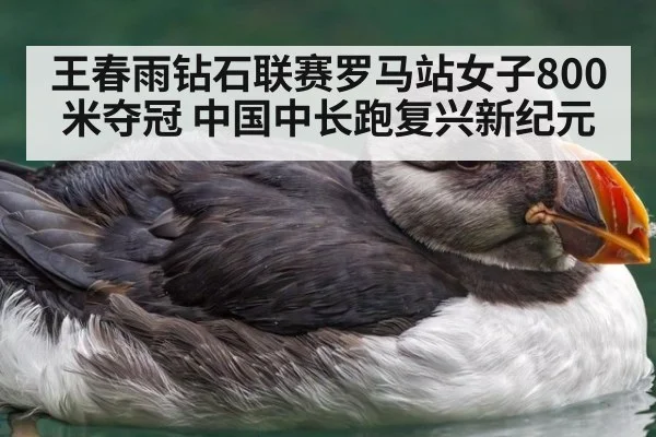 王春雨钻石联赛罗马站女子800米夺冠 中国中长跑复兴新纪元